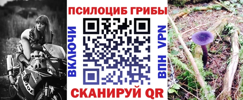 Псилоцибиновые грибы GOLDEN TEACHER  Медынь 